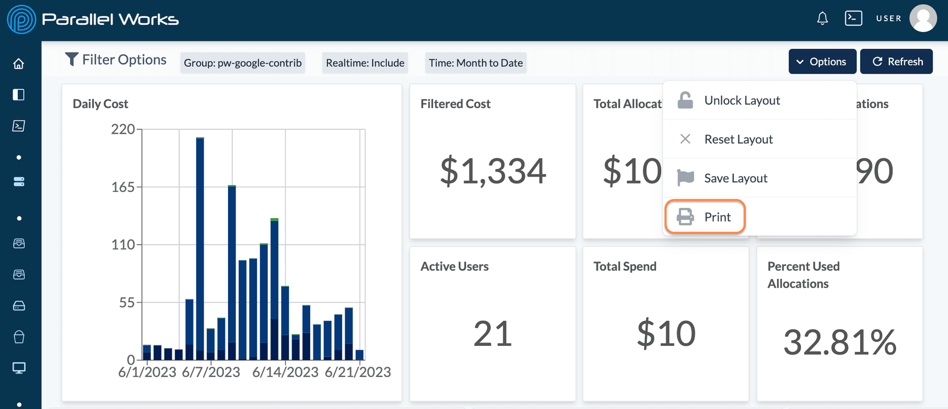 Screenshot of the user selecting Print in the Options dropdown menu.