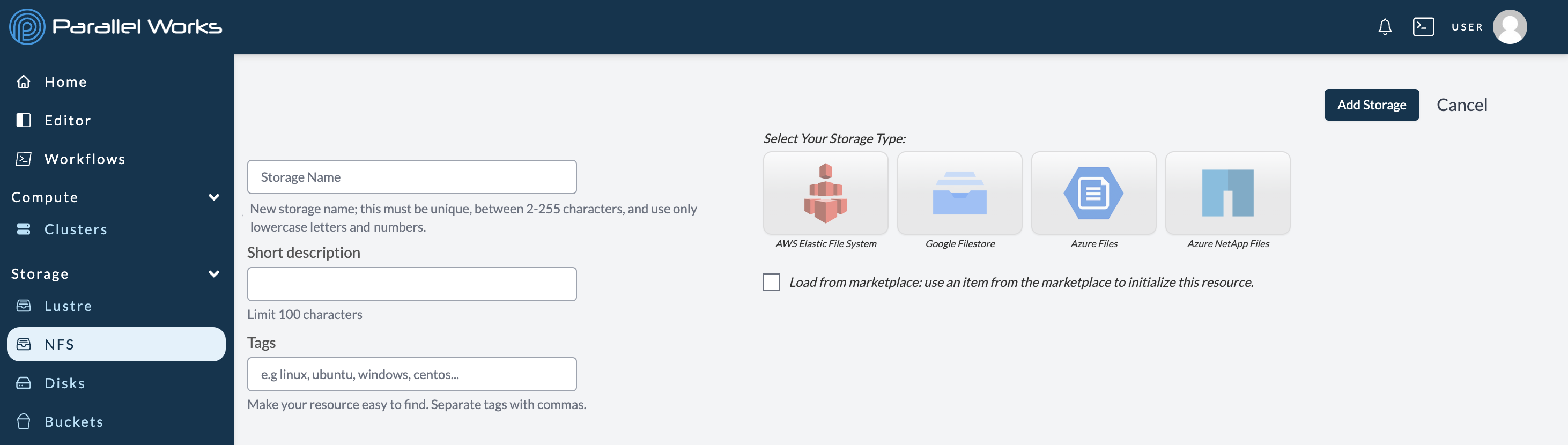 Screenshot of Azure NetApp Files on NFS page.