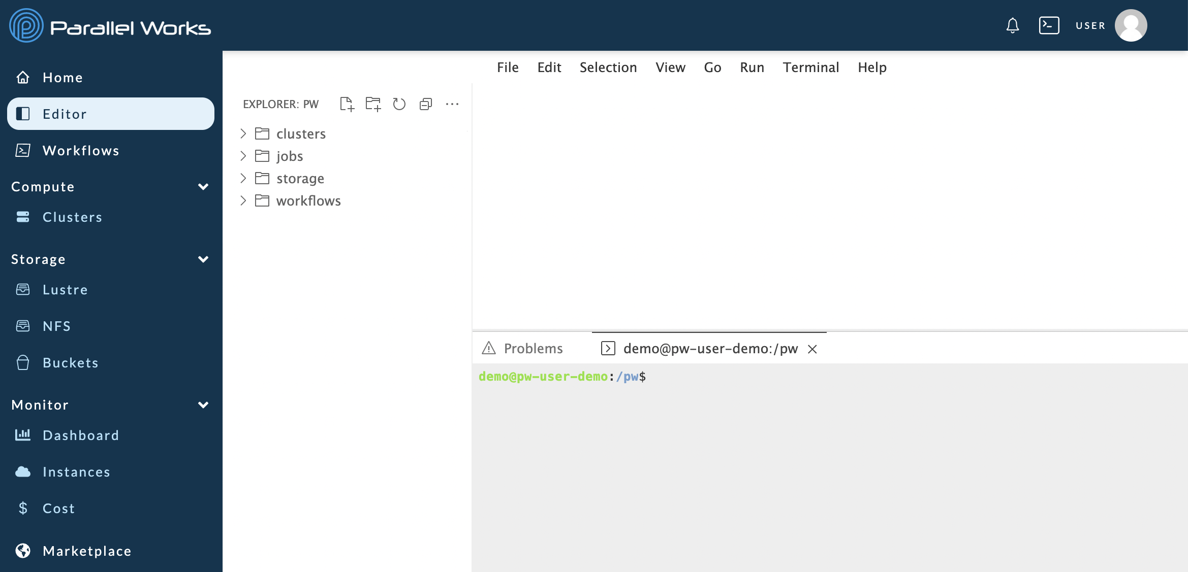 Screenshot of the user workspace after clicking the Editor page.