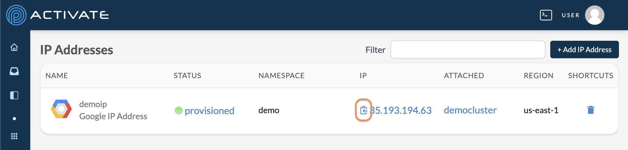 Screenshot of the user clicking the copy icon for the provisioned IP address.