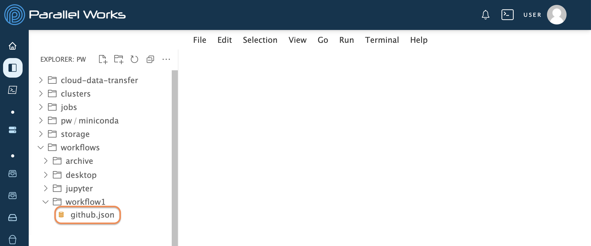 Screenshot of the user clicking the github.json file in the IDE pane.