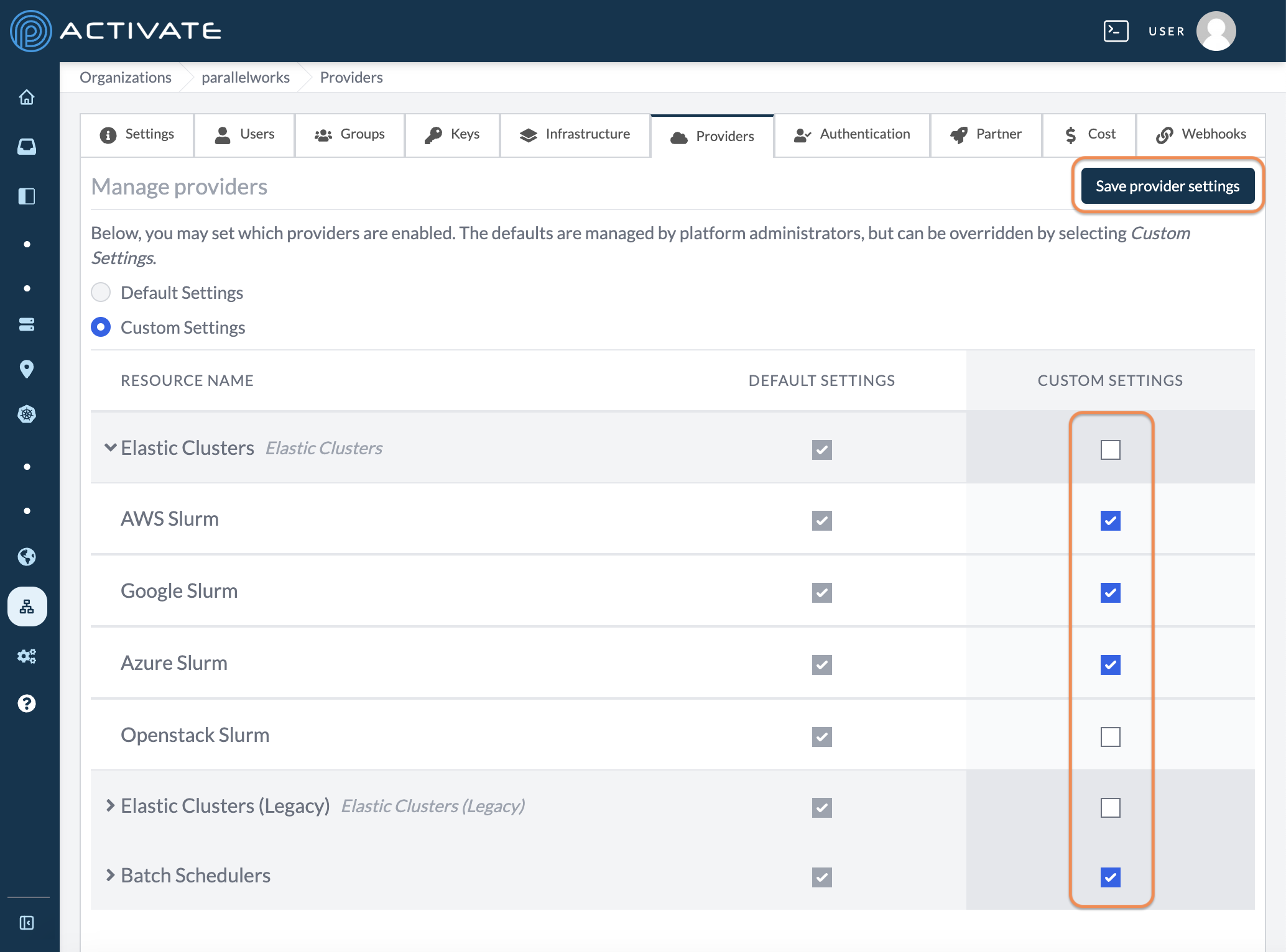 Screenshot of the circled custom settings and Save provider settings button.