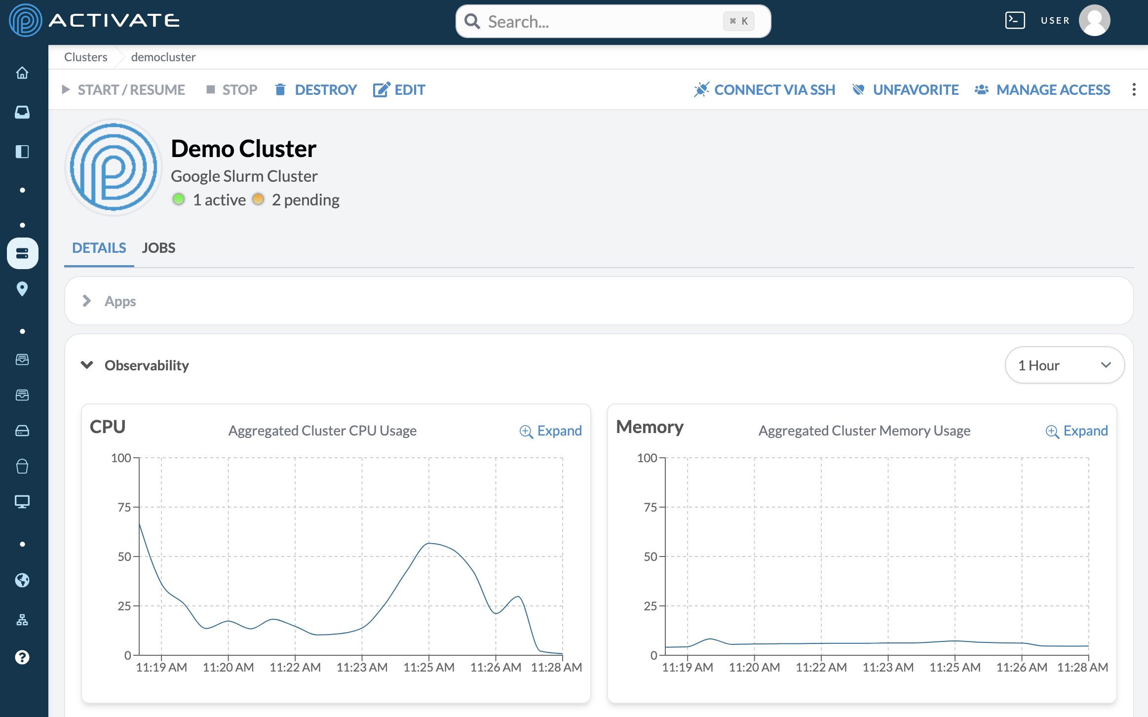 Screenshot of a cluster&#39;s Observability module.