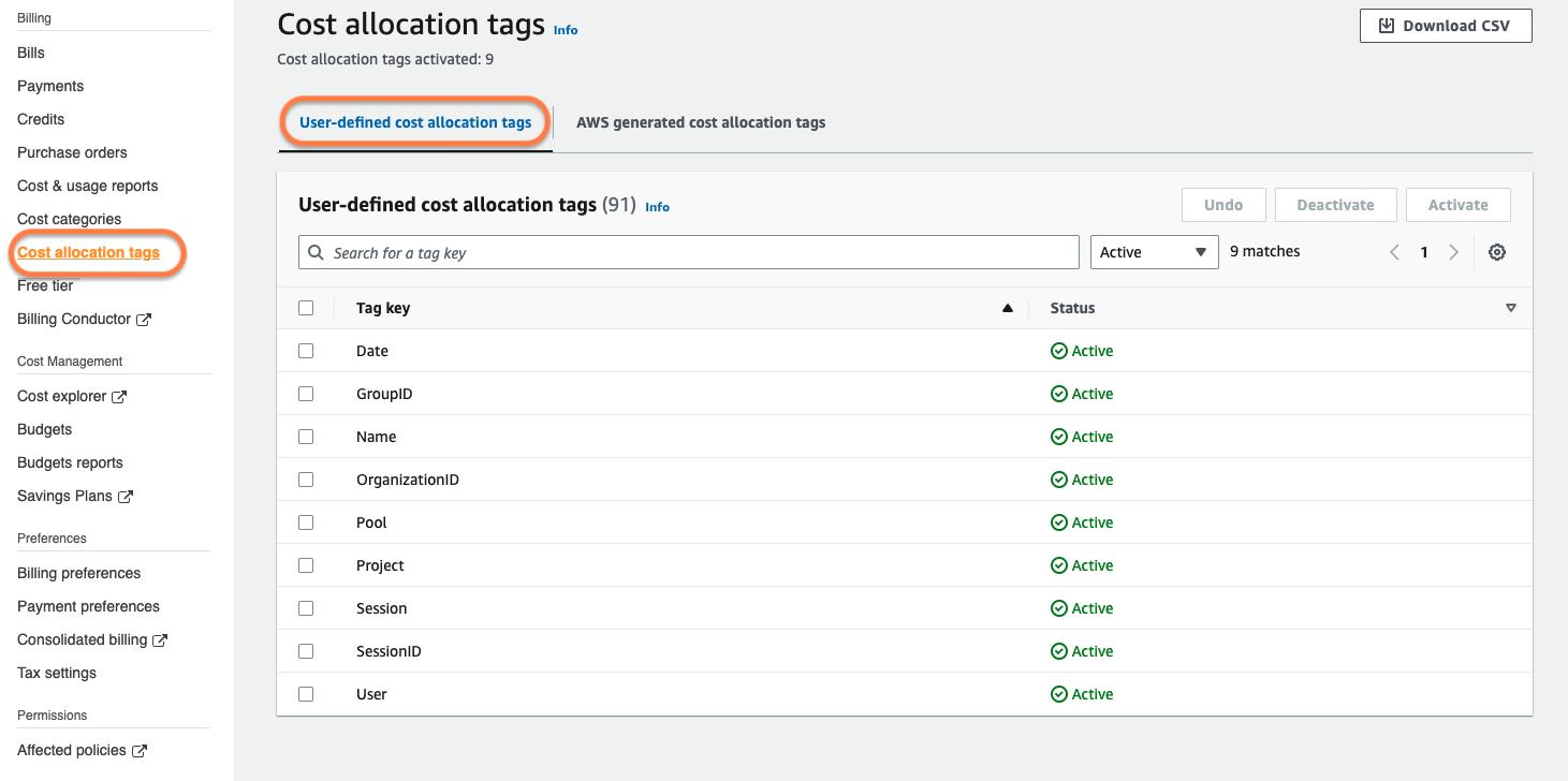 Screenshot of the AWS Management Console with circles around Cost allocation tags and User-defined allocation tags.