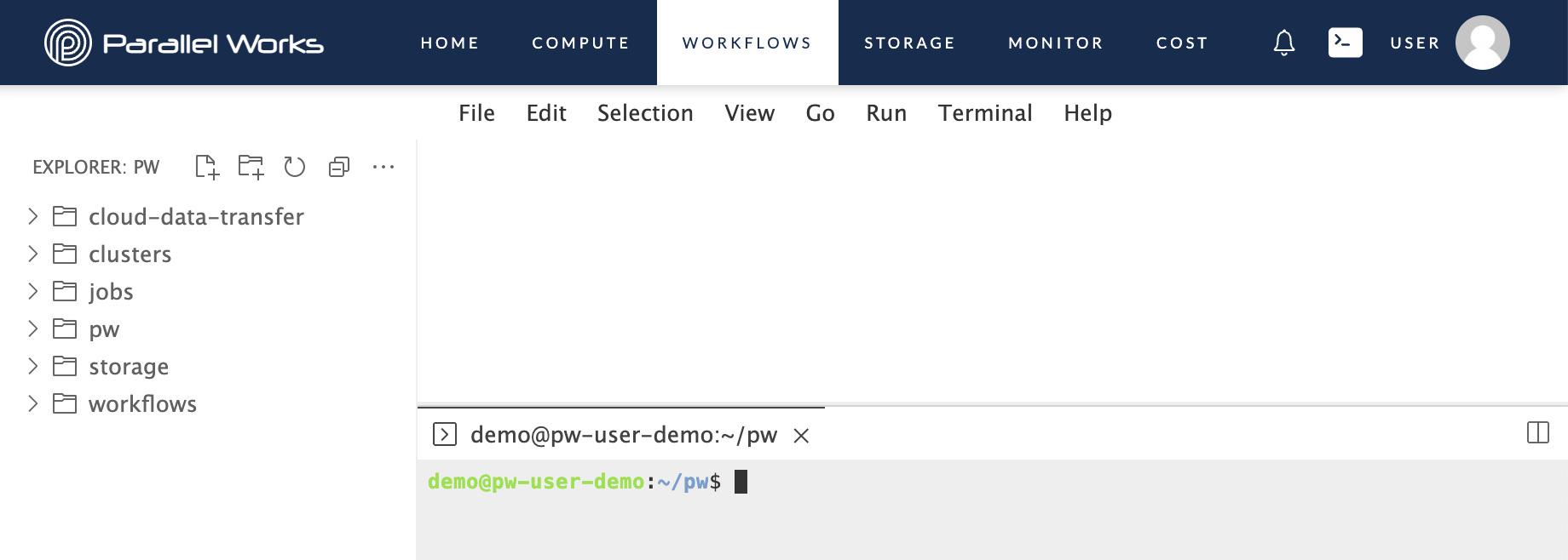 Screenshot of a new terminal on the PW platform.