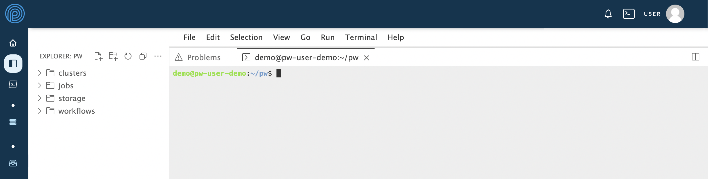 Screenshot of an IDE terminal’s default view.