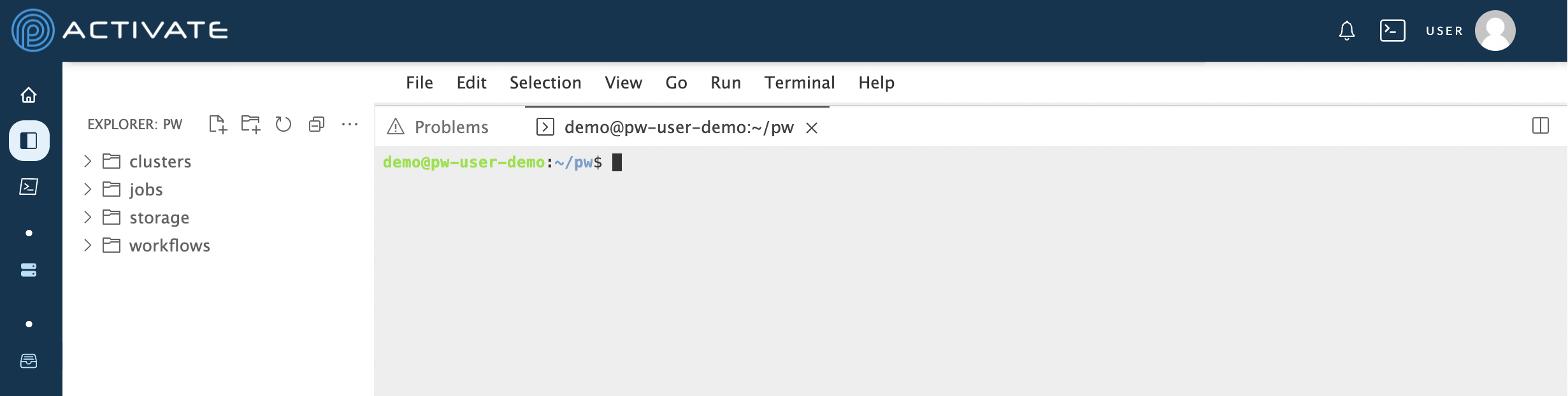 Screenshot of an IDE terminal’s default view.