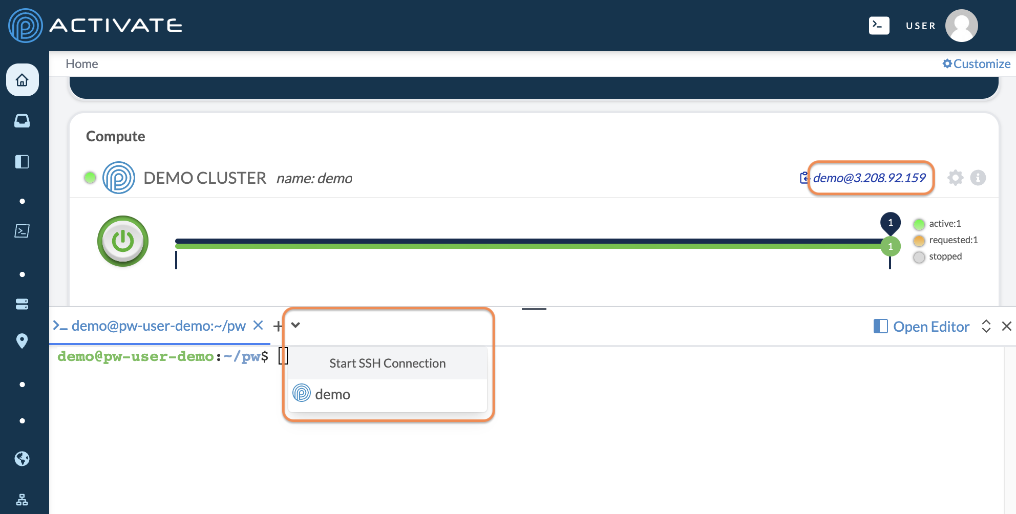 Screenshot of an active cluster with its IP address circled.