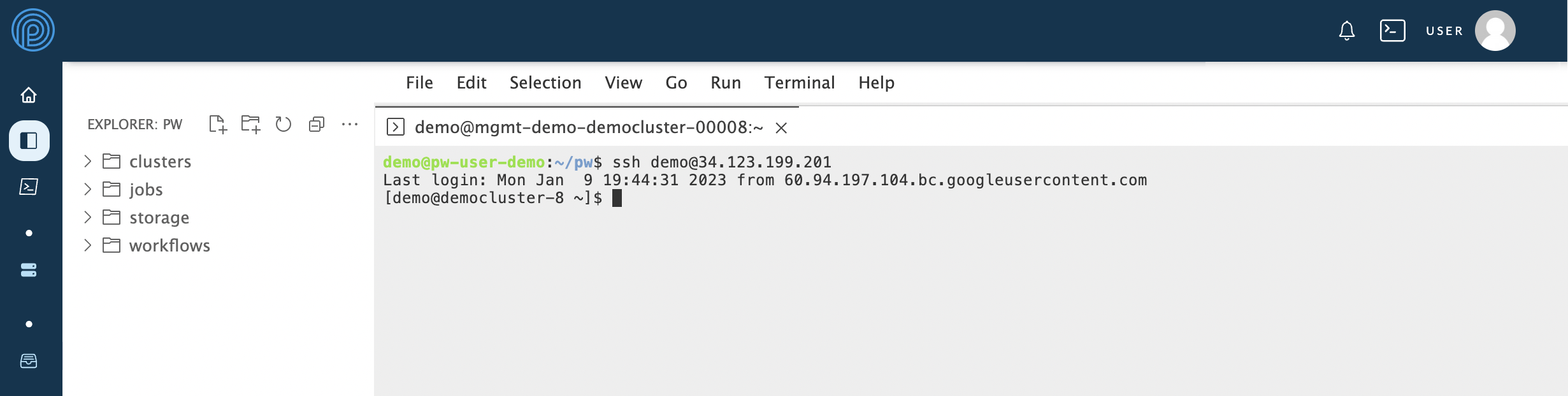 Screenshot of an IDE terminal after using SSH with the cluster IP address to log in to the controller.