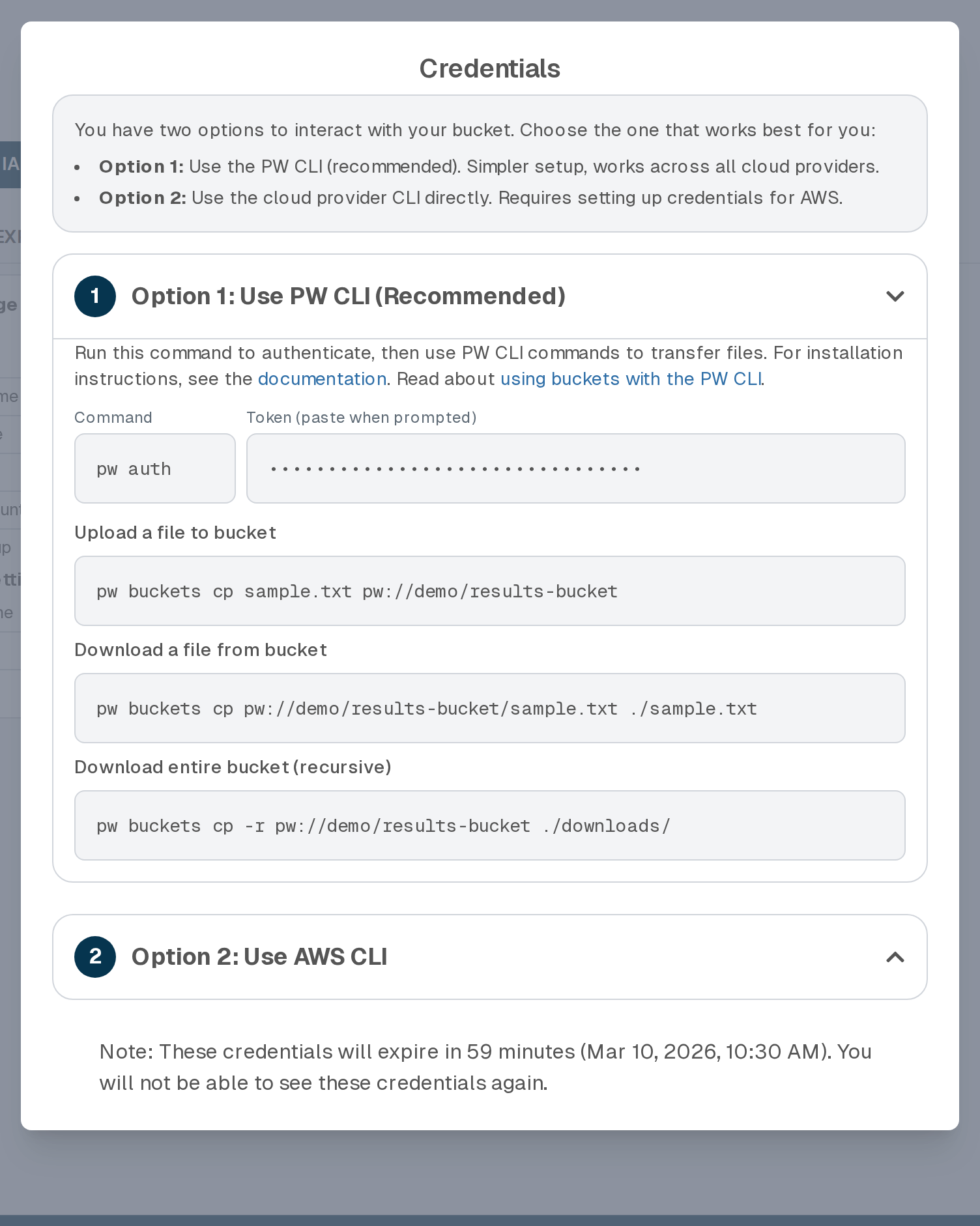 Screenshot of AWS bucket credentials.