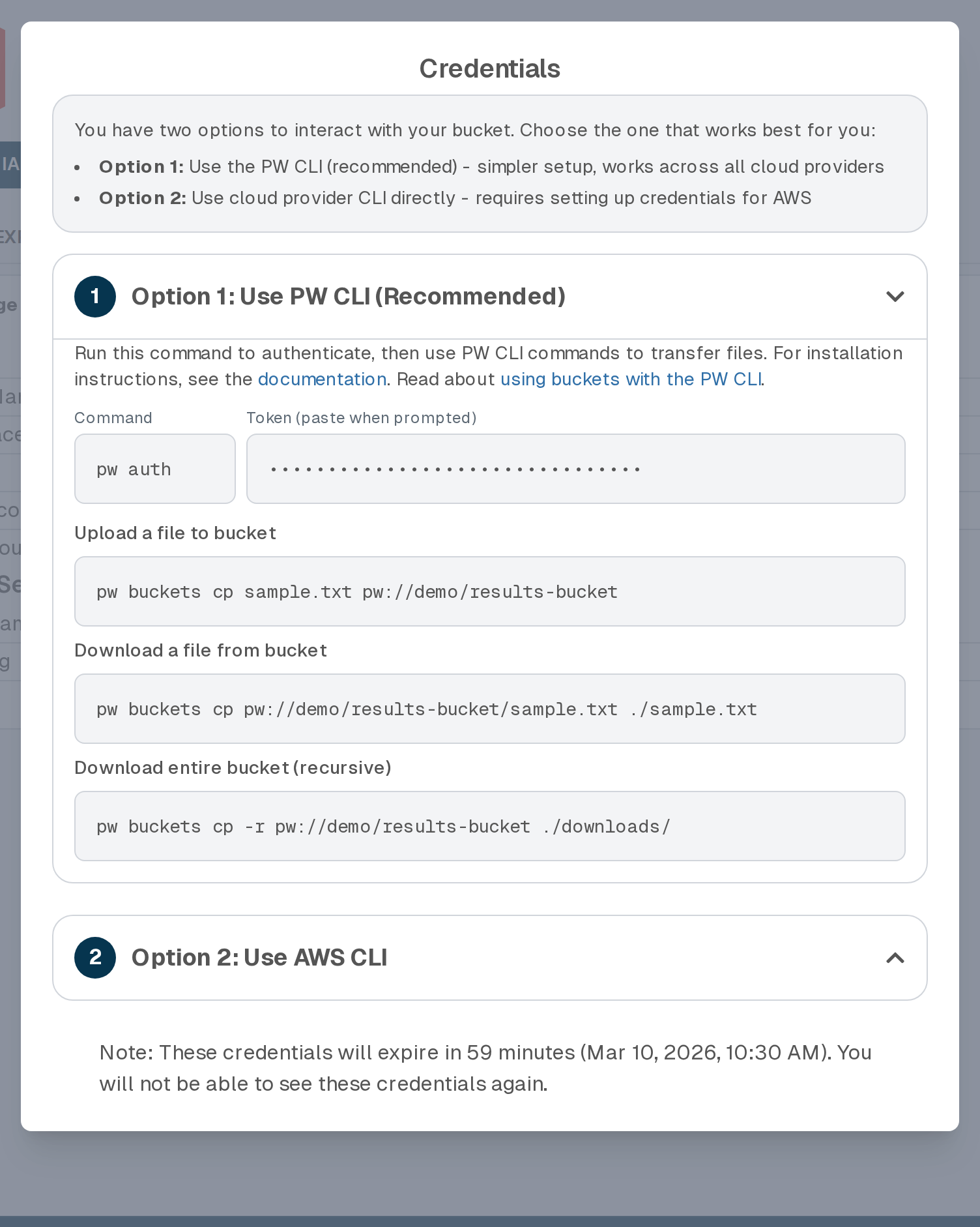 Screenshot of AWS bucket credentials.
