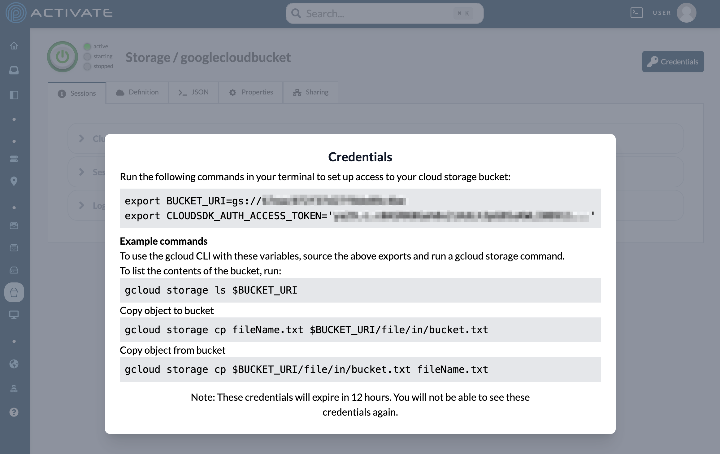 Screenshot of Google bucket credentials.